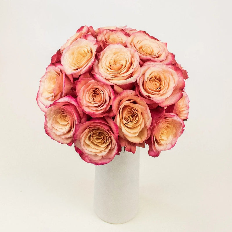 Bogart Peach Roses in a Vase