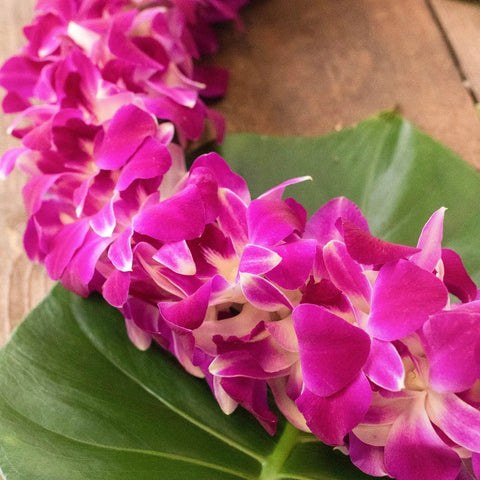 Orchids Bombay Wholesale Lei Up Close