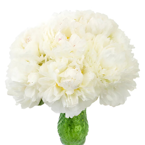 Bowl of Cream Peonies for May Delivery
