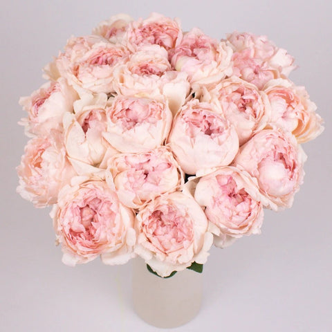 Bridal Tiara Pink Garden Roses in Vase