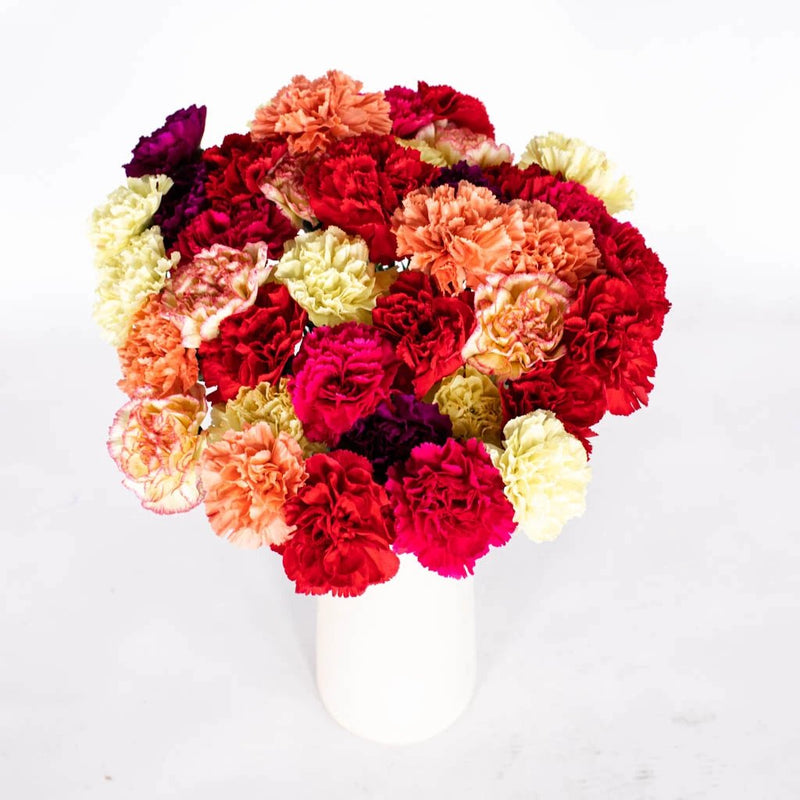 Bright Carnations Flower Bunch in Vase