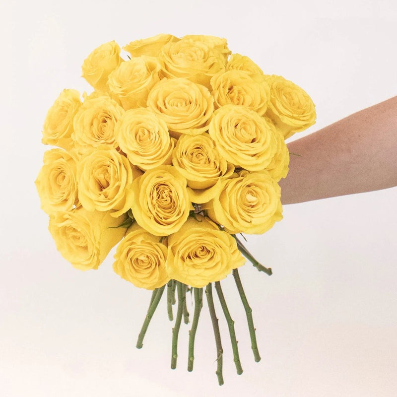 Brighton Yellow Rose Bunch in a Hand