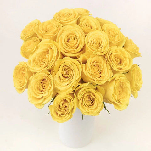 Brighton Yellow Wholesale Roses In a Vase