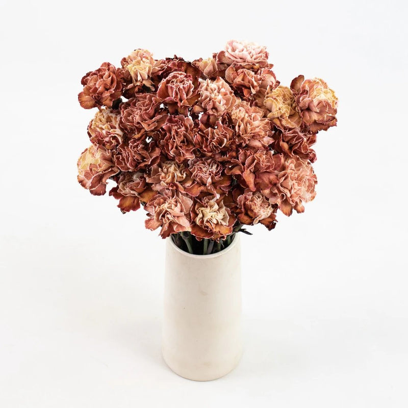 Brown Carnation Flower Bunch in Vase
