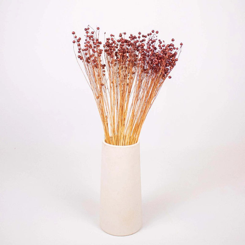 Brown Dried Linum Flower Bunch in Vase