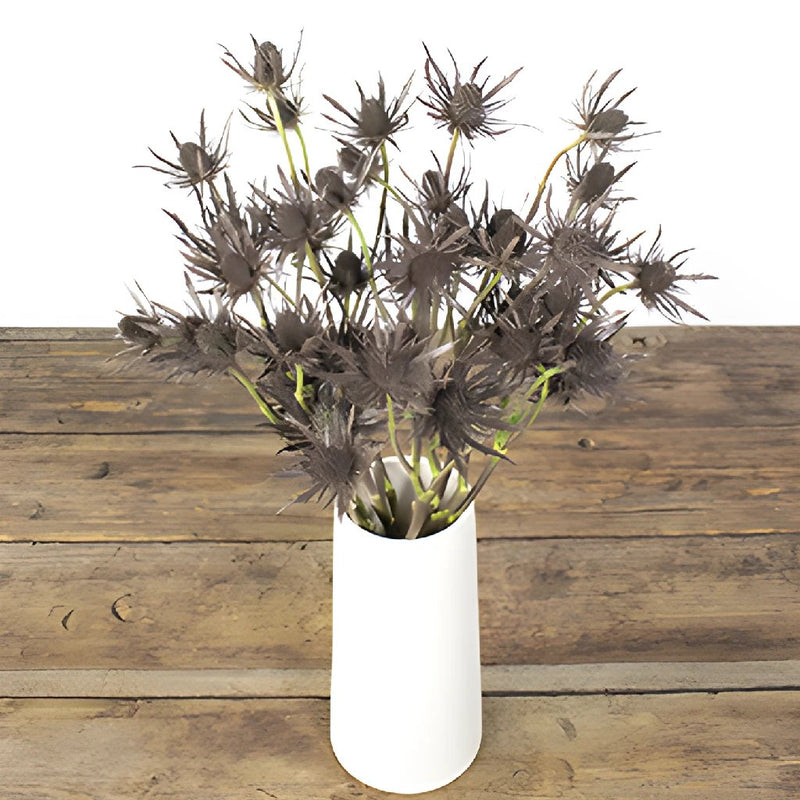 Brown Tinted Thistle Wholesale Flower In a vase