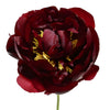 Burgundy Red Peony Flowers June Delivery