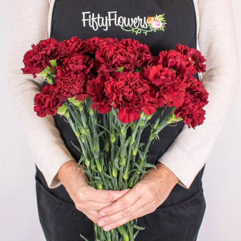 Buy Wholesale Black Flowers in Bulk - FiftyFlowers