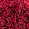 Burgundy Carnation Flowers