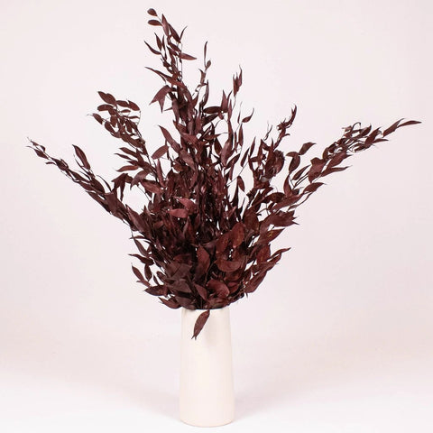 Burgundy Dried Ruscus Greens in Vase