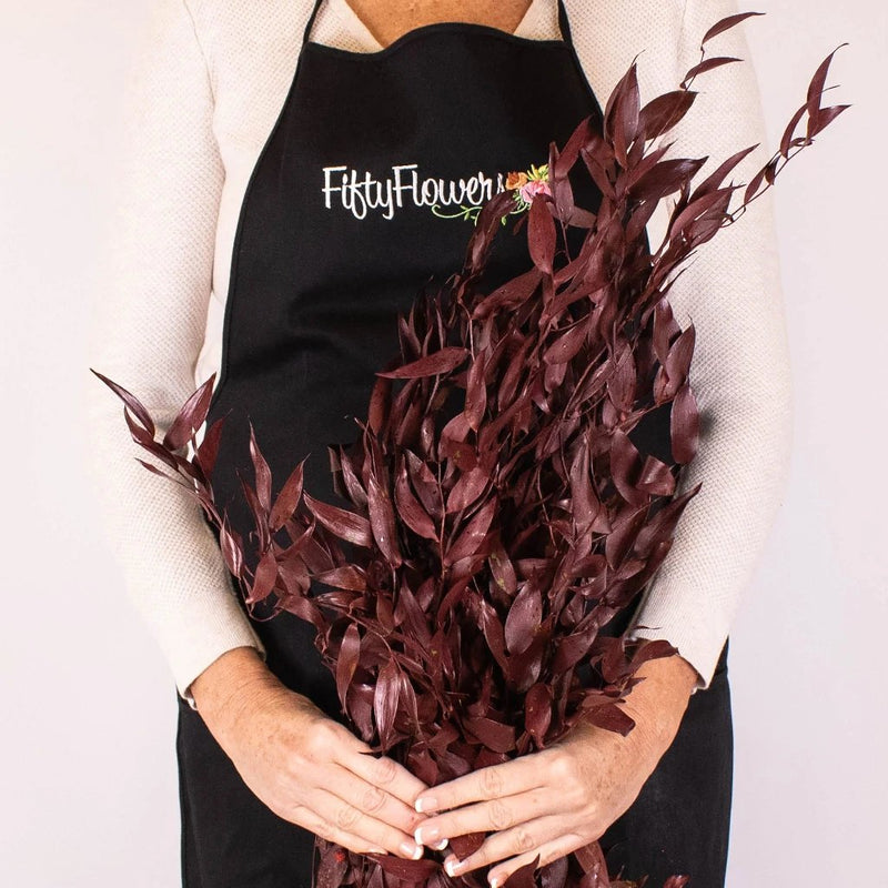 Burgundy Dried Ruscus Greens in Hand