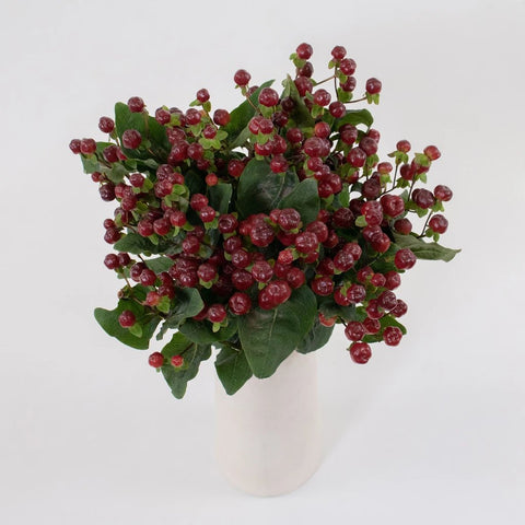 Burgundy Hypericum Berries Flower Bunch in Vase