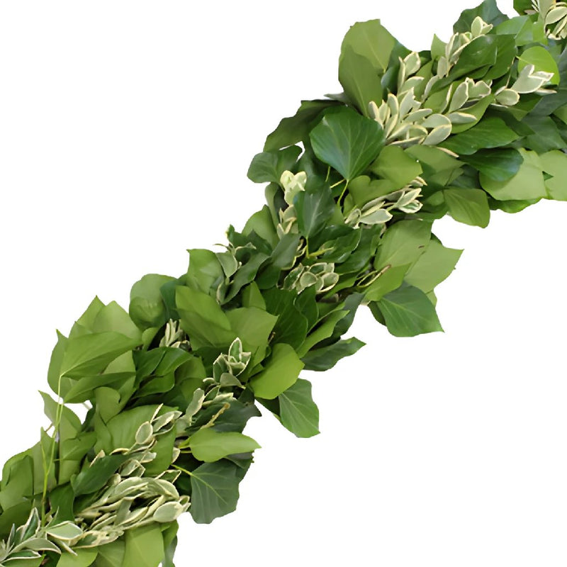 Bush Ivy and Euonymus Greens Garland