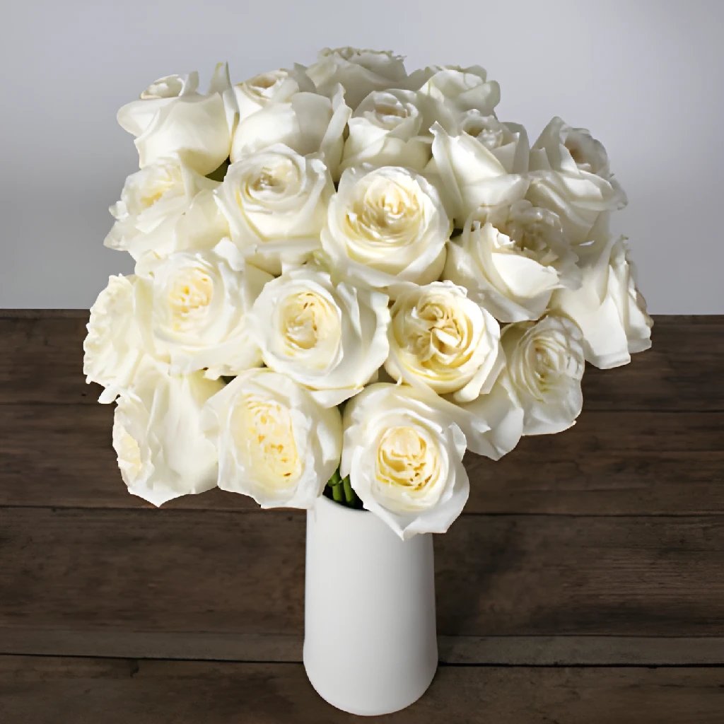 Midnight Mood White Candlelight Roses