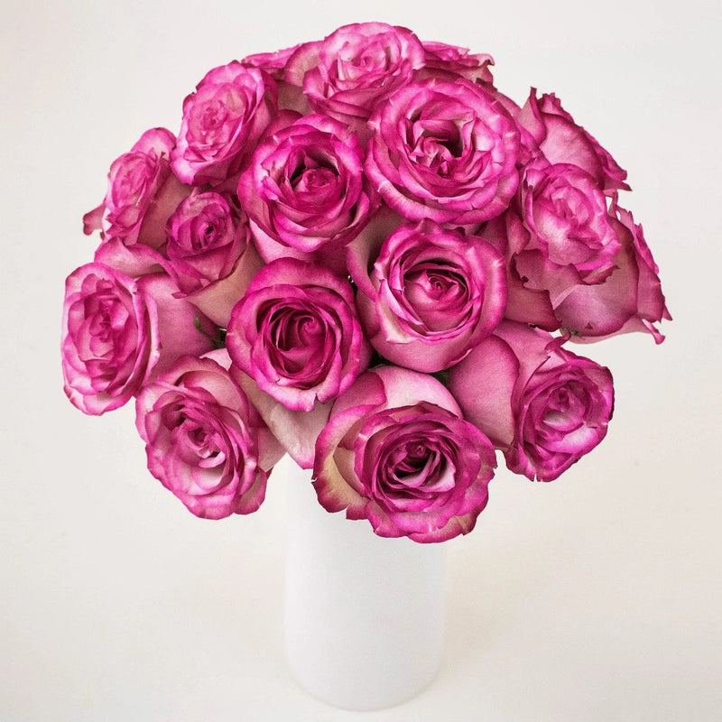 Carrousel Pink Wholesale Roses In a Vase