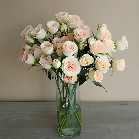 Chablis Light Pink Wholesale Roses In a vase