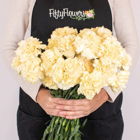 Champagne Wholesale Carnation Flower Bunch in Hand
