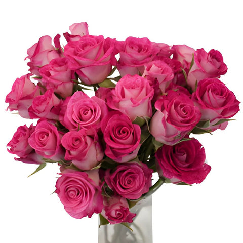 Cherry Follies Hot Pink Spray Wholesale Roses In a vase