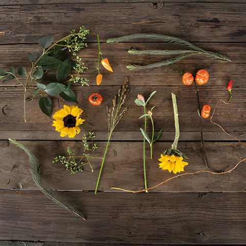 Chili Pepper Fall Flowers DIY Flower Kit Flatlay
