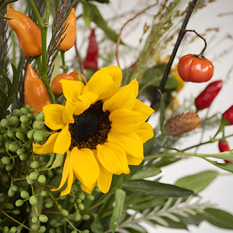 Chili Pepper Fall Flowers DIY Flower Kit Up Close