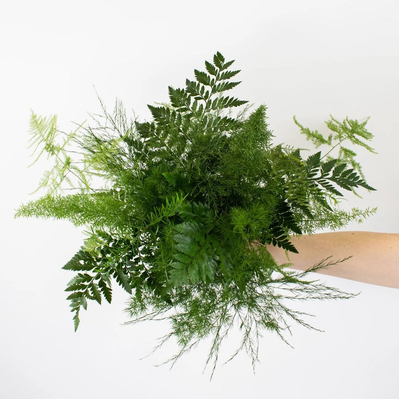 Choose Your Own Greenery Fern DIY Flower Kit in Hand