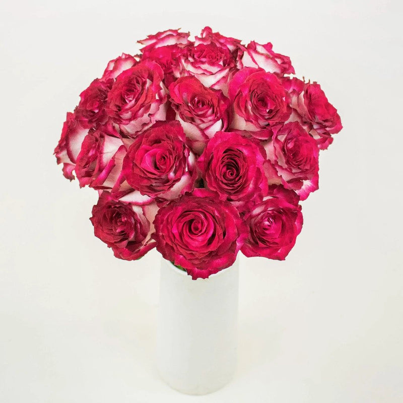 Cinderella Pink and White Wholesale Roses In a Vase