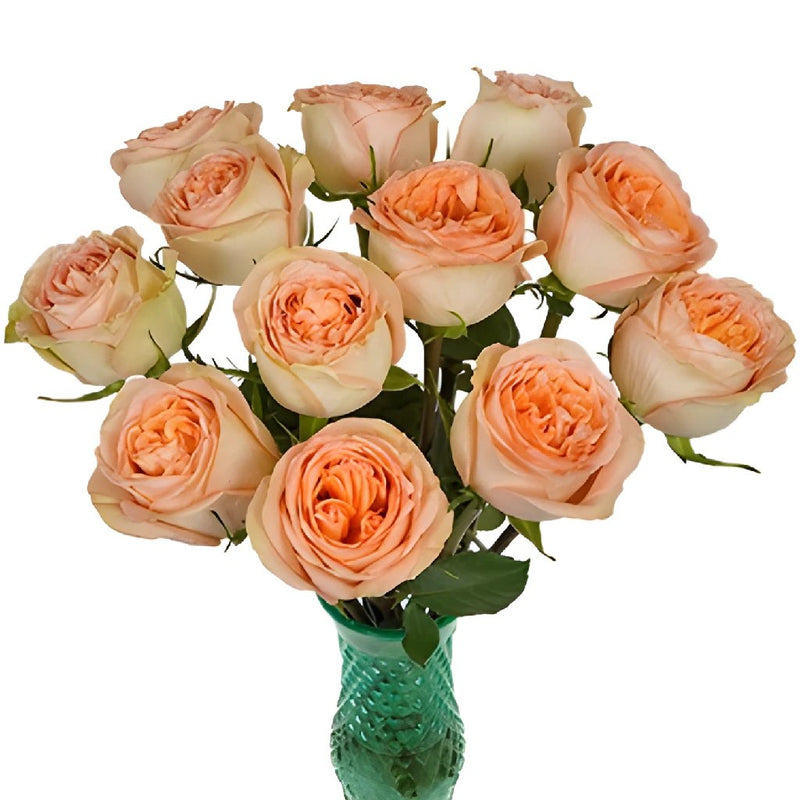 Country Home Peach Garden Wholesale Roses In a vase