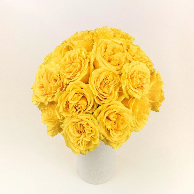 Country Sun Yellow Roses in a Vase