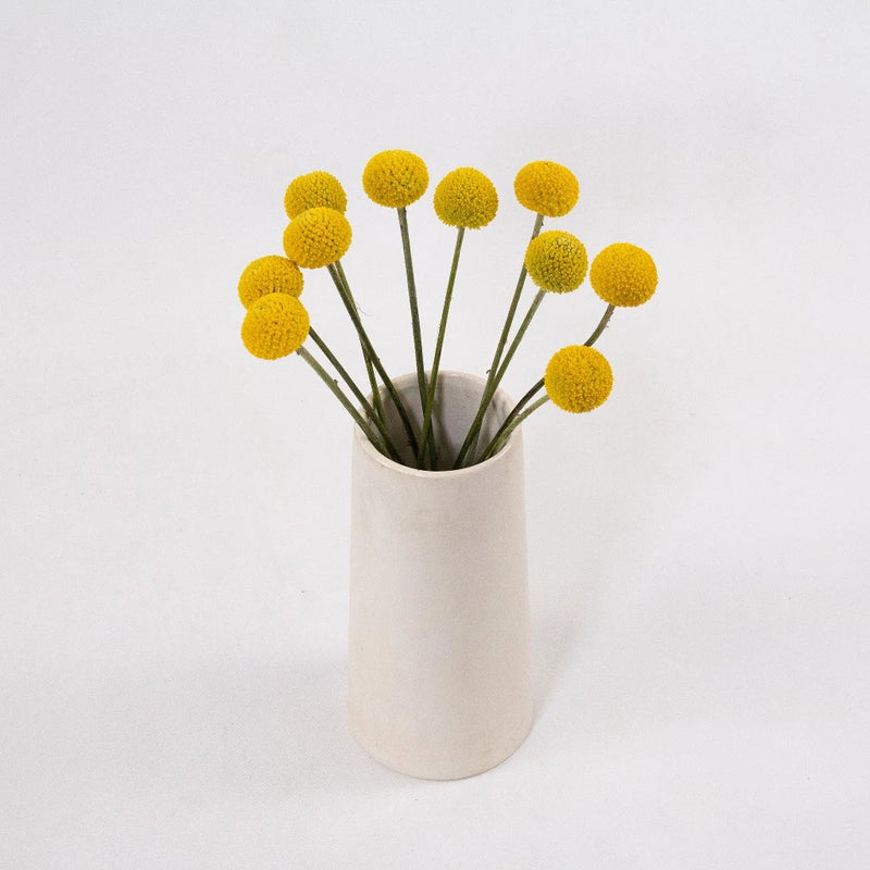 Craspedia Billy Balls Yellow Flower Bunch in Vase