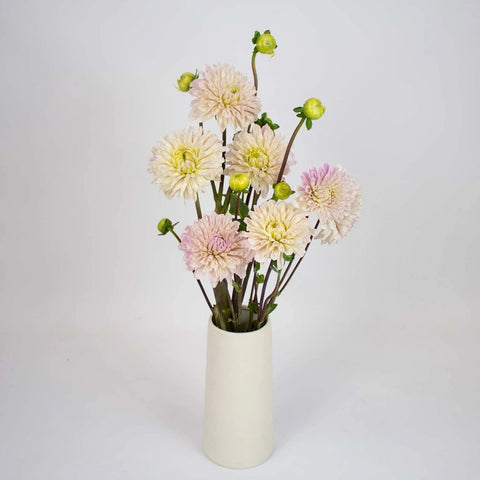 Cream Destiny Dahlia Flower Bunch in Vase
