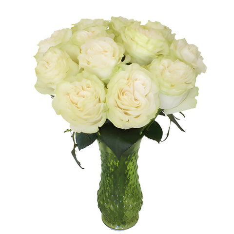 Creamy Ivory Garden Wholesale Roses In a vase