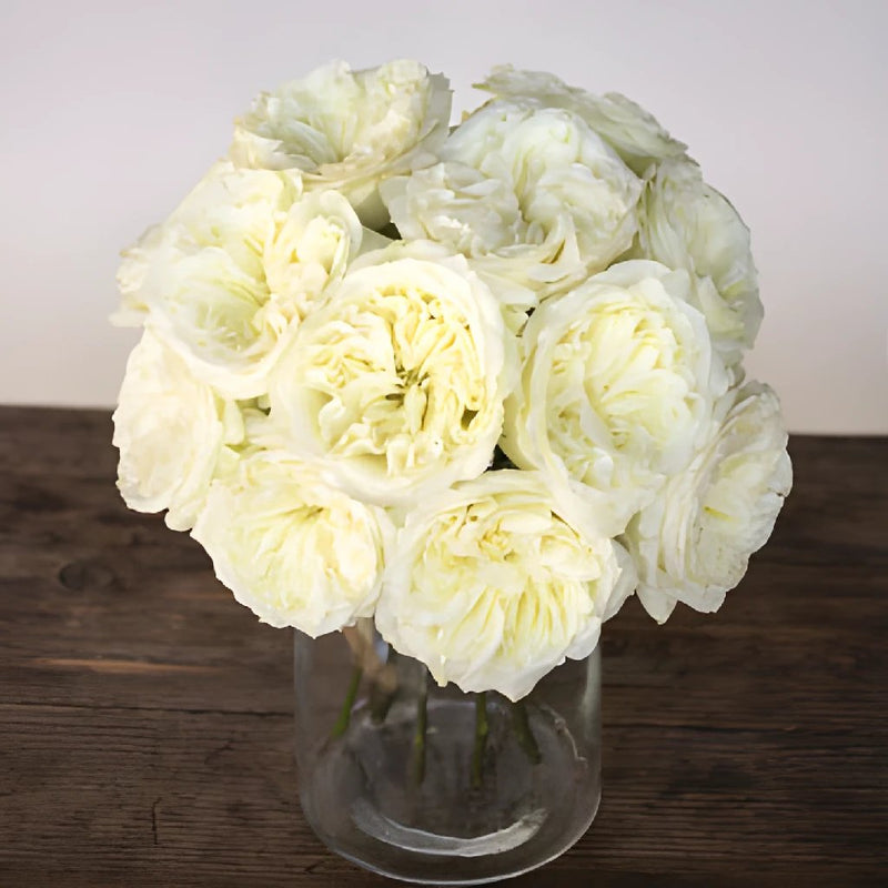 Creamy Ivory Peony Wholesale Roses In a vase