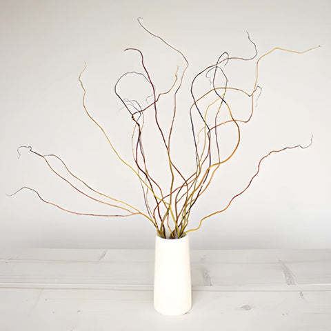 Curly Willow Branches - 5 Single Stems