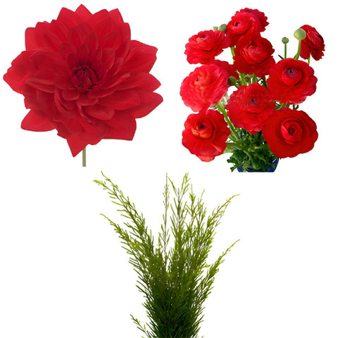 Dahlia and Ranunculus Red DIY Flower Kit Bunch