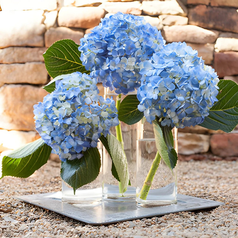 Dark Blue Hydrangea Wholesale Flower Trio Centerpiece