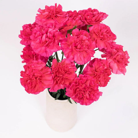 Dark Pink Carnation Flower Bunch in Vase