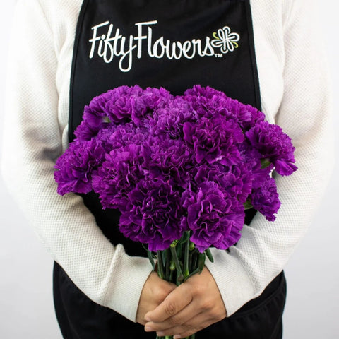 Deep Purple Carnation Flower Bunch in Hand