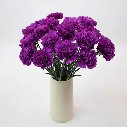 Deep Purple Carnation Flower Bunch in Vase