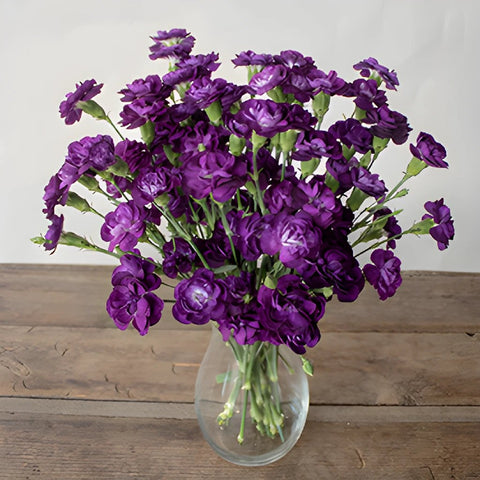 Deep Purple Mini Carnation Flowers In a vase