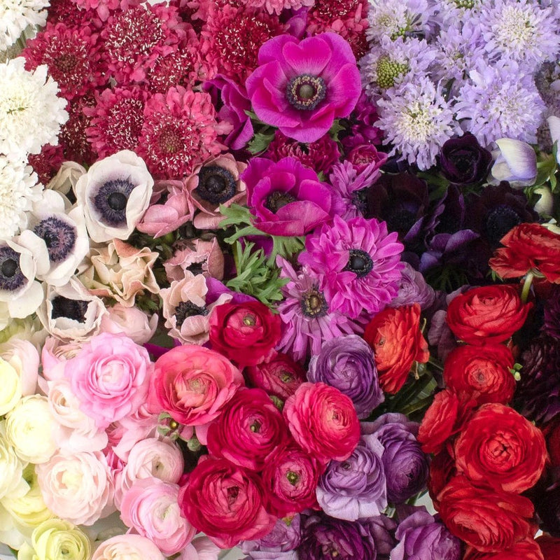 Buy Wholesale Delicate Garden DIY Flower Combo in Bulk - FiftyFlowers
