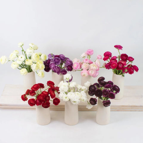 Delicate Multicolor Ranunculus DIY Flower Kit Recipe