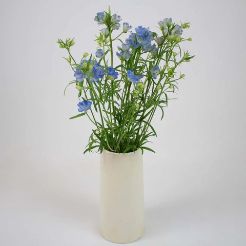Blue Garden Delphinium Wholesale Flower Bunch in Vase
