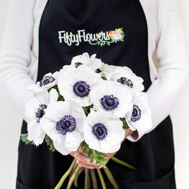 White Anemone Wholesale Flower Bunch In a Hand