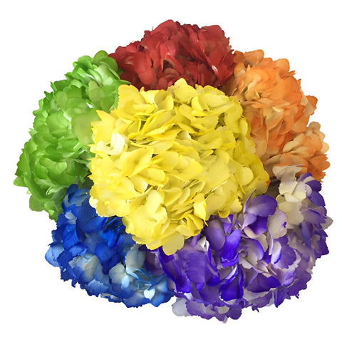 Airbrushed Rainbow Assorted Hydrangeas in a Bunch