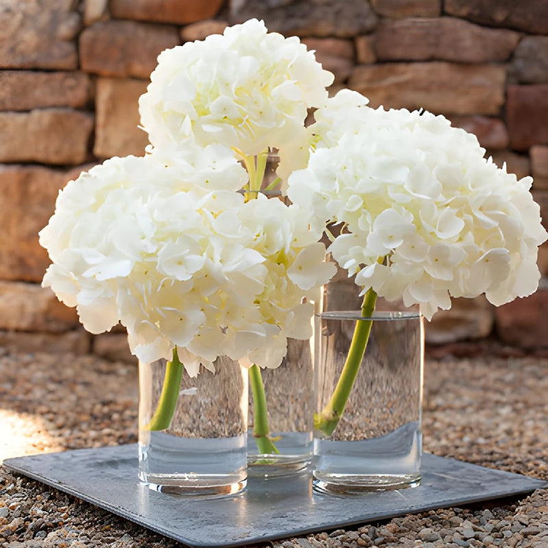 Hydrangeas Centerpiece in Vase Floral Home Decor