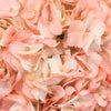 Dusty Rose Airbrushed Hydrangea