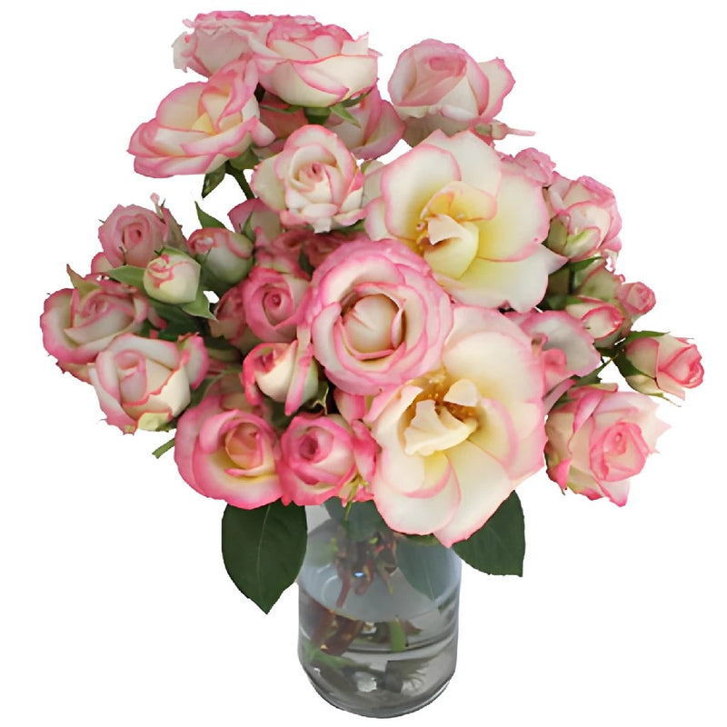 Electra Light Pink and White Spray Wholesale Roses In a vase