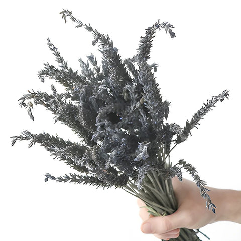 English Lavender Wholesale DIY Flower Kit In a Hand