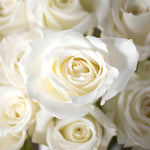 White rose DIY wedding flowers