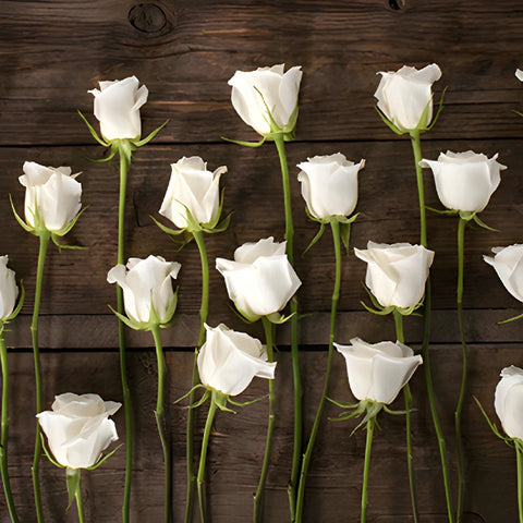 White rose bulk wedding flowers